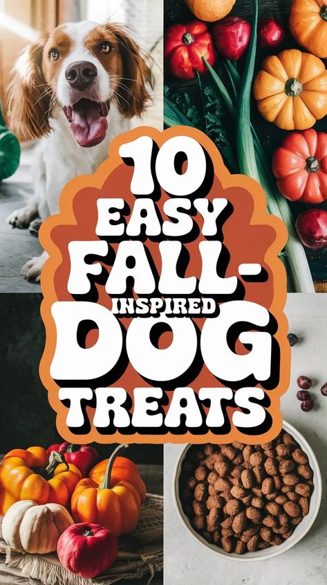 Dog Food Recipe: Chicken & Rice With Carrots, Peas & Pumpkin Can Dogs Eat Eggs, Sweet Potato Cookies, Dog Food Recipe, Easy Dog Treat Recipes, Sweet Potatoe Bites, Morkie Puppies, Diy Dog Food, Dog Biscuit, Dog Commands