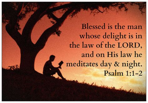 Psalm 1:1-2 | by joshtinpowers Psalm Study, Sunday Scriptures, Bible Verses For Teens, Biblical Quotes Inspirational, Bible Psalms, God Is Our Refuge, Faith Quote, Psalm 1, Powerful Scriptures