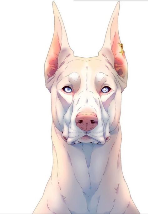 Headshot Commission, Dog Design Art, Illustration Animals, Canine Drawing, Canine Art, Sketch Style, Art Tools Drawing, Beauty Art Drawings, Creature Drawings