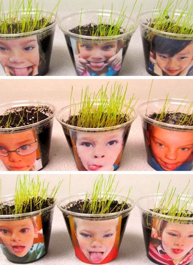 Growing Hair! Too funny!- What a fun project! Loved it when my child brought this home from school! We kept it for months!! Spring Garden Activities For Preschool, Vetenskapliga Experiment, Kindergarten Rocks, Growing Hair, Spring Preschool, Kindergarten Science, Baked Spaghetti, Preschool Science, Spring Activities