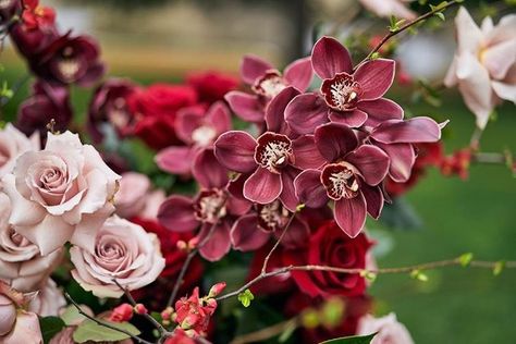 Tropical Wedding Decor, Flowering Quince, Cymbidium Orchid, Romantic Wedding Flowers, February Wedding, Wedding Lanterns, Southern Highlands, Cymbidium Orchids, Wedding Decor Inspiration