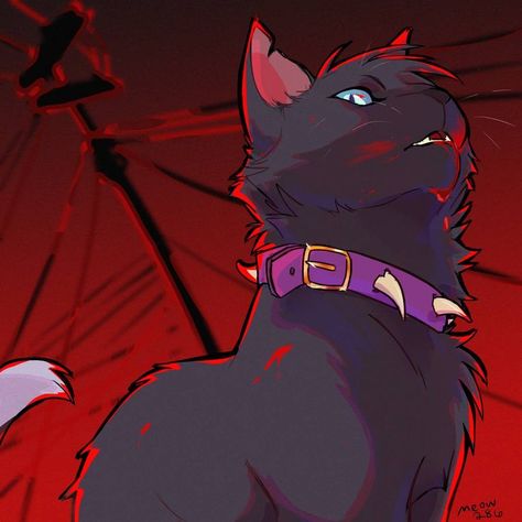 Warrior Cats Scourge, Warrior Cats Books, Warrior Cats Fan Art, Love Warriors, Warrior Cat Drawings, Warrior Cat Oc, Cat Comics, Warrior Cats Art, Cat Books