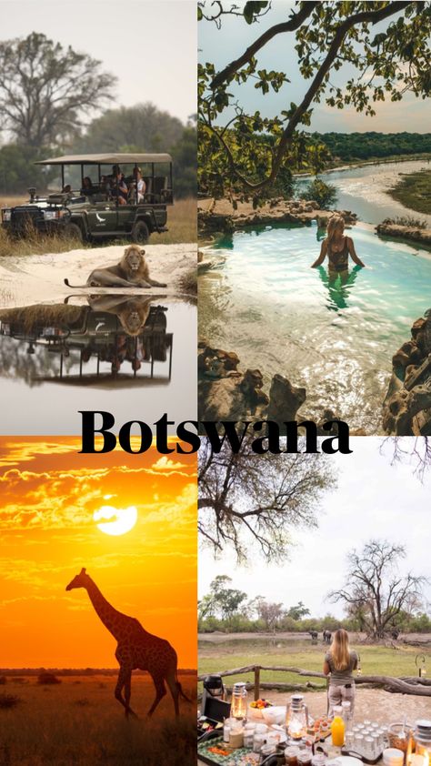 Botswana #botswana #aesthetic #nature Aesthetic Nature, Botswana, Collage, The World, Animals, Nature