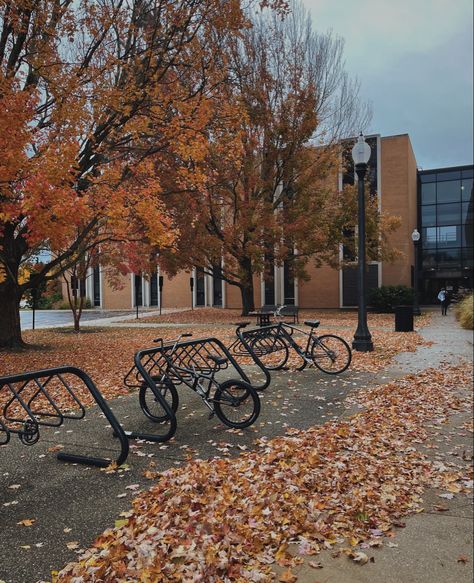 kent state, fall, leaves, autumn, red, brown, yellow, bikes, school, outside, outdoor, university in the fall, crunch, leaf Kent State University Aesthetic, School Outside, University Aesthetic, Kent State University, Kent State, Leaves Autumn, Fall Leaves, In The Fall, At School