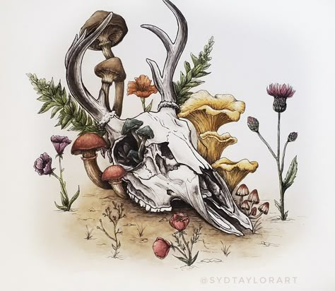 Overgrown Animal Skull Tattoo, Skull Nature Art, Skull Floral Art, Animal Skull Drawing Flowers, Bones And Flowers Drawing, Skull And Flower Painting, Animal Skull Art Painting, Flower Skull Art, Skull Mushroom Art