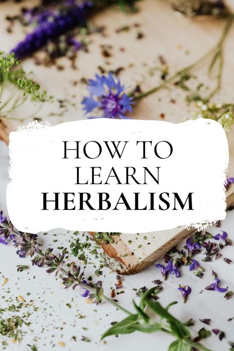 Want to know how to learn herbalism? Explore the top-ranked online herbalism courses available online. Whether you are learning herbal medicine for your family, entrepreneurship or professional practice, you can find herbal courses just for you. Learn Herbalism, Medicine Garden, Herbal Education, Detox Your Home, Herbal Steam, Holistic Care, Herbal Recipes, Whole Food Diet, Nutrient Rich Foods