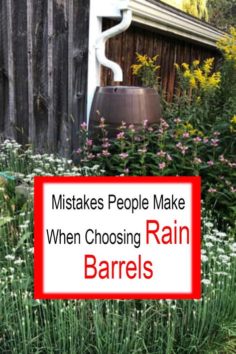 Mistakes People Make When Choosing Rain Barrels Downspout Rain Barrel, Water Collection System Diy Rain Barrels, How To Hide A Rain Barrel, Water Barrel Ideas Rainwater Harvesting, Rain Barrel Diy Pretty, Diy Water Barrel, Rain Collection System Diy, Rain Barrels Ideas Beautiful, Rain Gutters Drainage Ideas