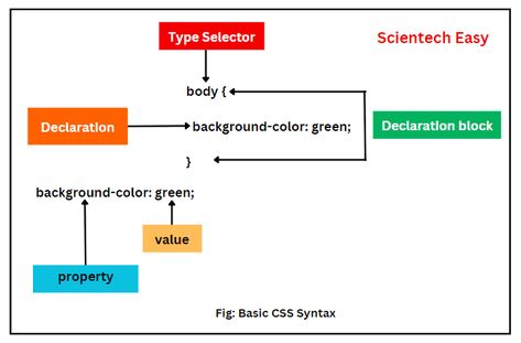 CSS selectors Html Layout, Css Style, Learn Javascript, Css Tutorial, Learn Html, Style Definition, Warehouse Management, Style Rules, Styles P