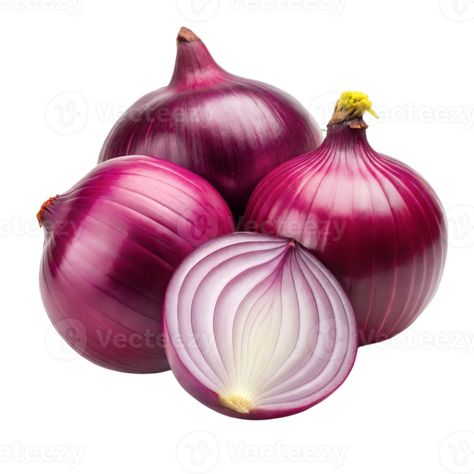 Red Onion Benefits, Onion Drawing, Food Engineering, Onion Seeds, Red Onion Salad, Vegetable Seeds, Bountiful Harvest, Red Onions, Tip Of The Day