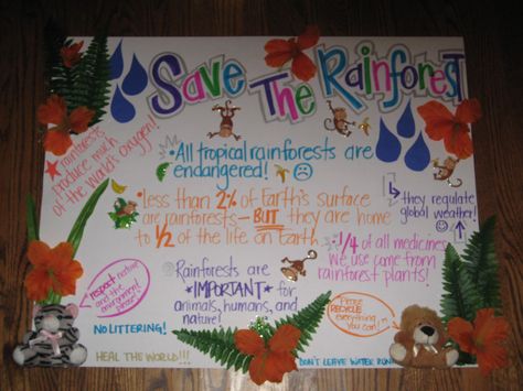 Save the rainforest project poster Save The Rainforest Poster, Pbl Kindergarten, Deforestation Poster, Rainforest Poster, Rainforest Classroom, Rainforest Project, Biomes Project, Earth Systems, Rainforest Biome