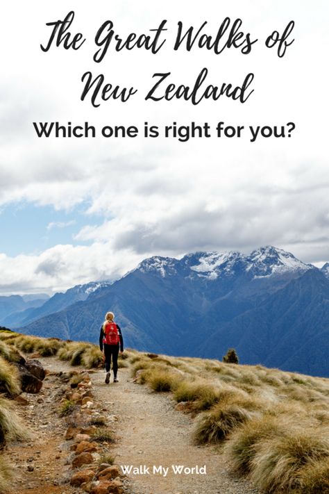 Which Great Walk of New Zealand is right for you? — Walk My World Hiking New Zealand, Travel New Zealand, New Zealand Beach, New Zealand Adventure, New Zealand Travel Guide, Oceania Travel, Travel Quotes Adventure, Visit Australia, Destination Voyage