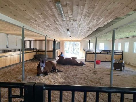 Horse Shelter With Stalls, Run In Horse Shelter, Western Barn Ideas, Stables Aesthetic, Run In Shed For Horses, Small Horse Barn Ideas Layout, Equestrian Facility Layout, Horse Stall Ideas, Horse Obstacle Course