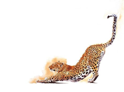 Sue Dickinson, Leopard Artwork, Watercolour Animals, Big Cat Tattoo, Watercolor Cats, Leopard Watercolor, Animal Ideas, Leopard Art, Africa Wildlife