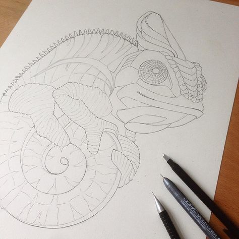 ‪#‎AnimalPoker‬ ‪#‎AndreasPreis‬ ‪#‎WorkInProgress‬ ‪#‎Drawing‬ ‪#‎Chameleon‬ Drawing Chameleon, Chameleon Sketch, Chameleon Drawing, Chameleon Art, Ancient Drawings, Color Pencil Illustration, Spiral Art, Scale Drawing, Meaningful Drawings