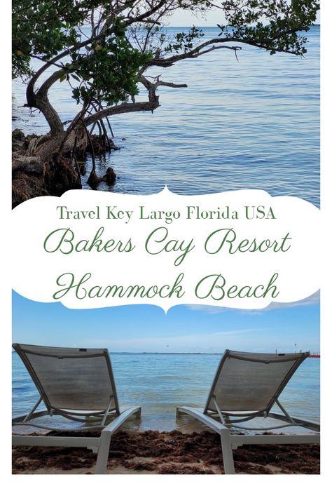 Bakers Cay Resort, Florida Keys Vacation, Hammock Beach, Florida Keys Road Trip, Travel Key West, Beach Hammock, Dream Beach Wedding, Florida Destinations, Florida Restaurants