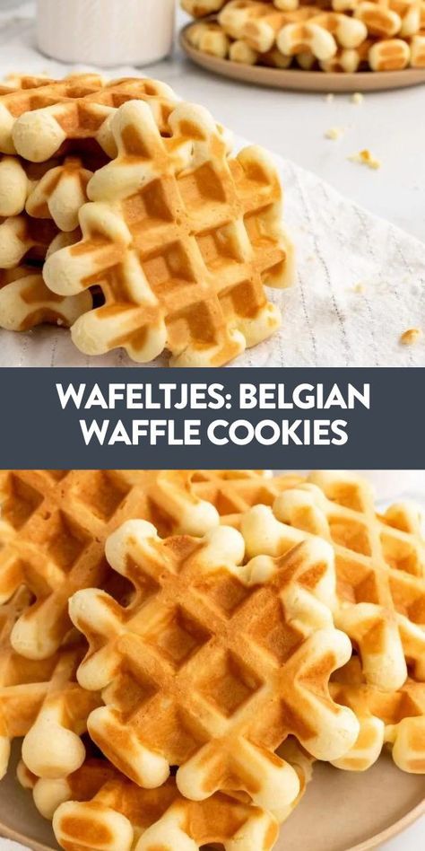 Wafeltjes are Belgian waffle cookies that you will absolutely love. These buttery treats are a must make and will take your taste buds on a European vacation! #recipe Cookie Waffle Recipe, Waffle Cooker Recipes, Belgium Waffle Cookies, Belgian Gaulettes, Belgian Waffle Cookies, Belgian Cookies Recipes, Belgium Cookies Recipes, Waffle Cookies Recipe Holidays, French Waffle Cookies