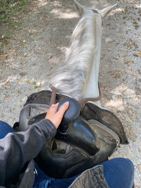 Trail Riding Aesthetic, Western Riding Aesthetic, Horse Back Riding, Fall Horseback Riding Aesthetic, Horseback Riding Aesthetic Beach, Ride A Horse Aesthetic, Horseback Riding Aesthetic, Adventurecore Aesthetic, Western Trail Riding