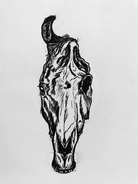 Horse Skull Sketch, Black And White Horse Tattoo, Horse Skull Tattoo Design, Black Horse Tattoo Design, Zombie Horse Tattoo, Gothic Horse Tattoo, Horse Skull Art, Horse Skull Drawing, Skeleton Horse Tattoo