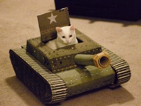 Be Aware Of These Cats In Cardboard Tanks Ready To Conquer The World - I Can Has Cheezburger? Cardboard Builds, Cardboard Tank, Army Cats, Cats In Boxes, Tank House, Cardboard Cat House, Cardboard Cat, Cat House Diy, Cat Tanks