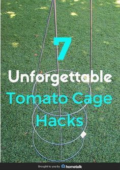 Tomato Cage Crafts, Wine Bottle Trees, Plant Cages, Growing Tomatoes In Containers, Tomato Cages, Tomato Garden, Garden Girls, Humming Bird Feeders, Growing Tomatoes