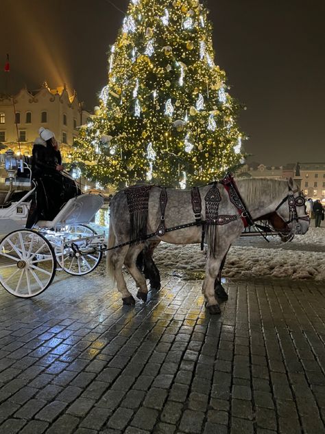 Polish Winter Aesthetic, Winter Old Money Aesthetic, Krakow Winter, Winter Old Money, Warsaw Poland Christmas, Krakow Christmas, Krakow Poland Christmas, Wroclaw Christmas Market, Krakow In December