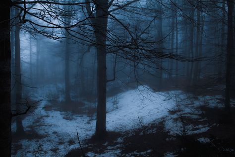 Dark Naturalism, Blue Hour, Winter Aesthetic, Dark Forest, Narnia, Blue Aesthetic, I Miss You, Dark Aesthetic, Pretty Pictures