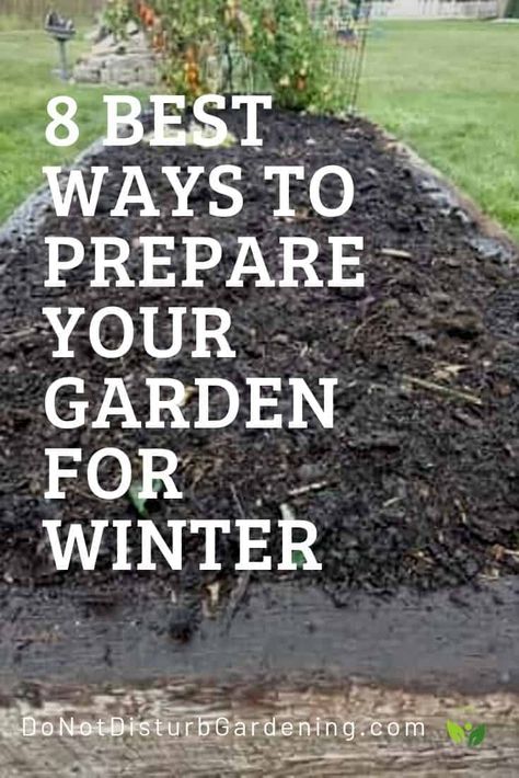 Preparing Garden Beds, Garden Prep, Garden Preparation, Garden Mulch, Garden Prepping, Winter Vegetables Gardening, Gardening Techniques, Home Vegetable Garden, Garden Yard Ideas