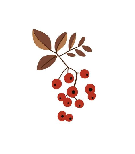 Indulge in the allure of nature's charm with this captivating illustration of a cranberry branch. A splash of vibrant red and natural beauty. Cranberry Drawing, Cranberry Illustration, Cranberry Branch, Friendship Book, Shape Ideas, Vector Frame, Lino Cut, Beauty Ad, Natural Red