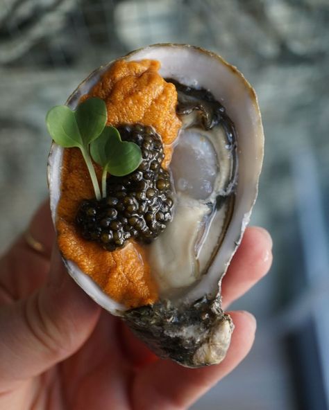 Oysters, uni and caviar all in one bite! 🦪 @fannybayoysters Immunity Boost, Sea Urchin, First Bite, May 21, I Love Food, Vitamins And Minerals, Camembert Cheese, Love Food, All In One