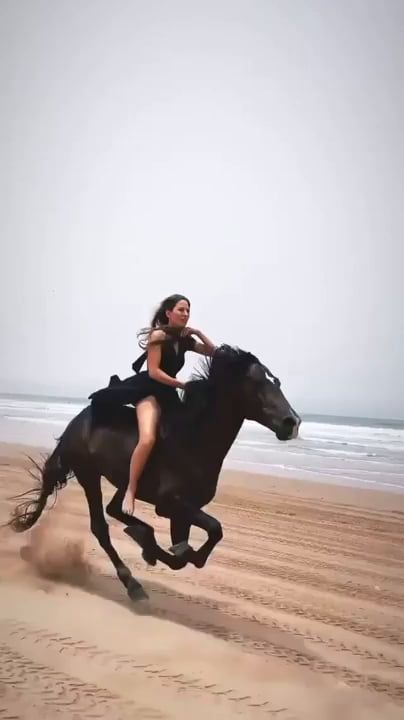 Woman Riding Horse, Bareback Riding, Essaouira Morocco, Horse Videos, Horse Aesthetic, Most Beautiful Horses, Friesian Horse, Clydesdale, Horse Life