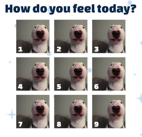 Feelings Chart, Brain Facts, Work Memes, Art Classroom, Social Emotional, Teaching Art, Do You Feel, Bull Terrier, Reaction Pictures