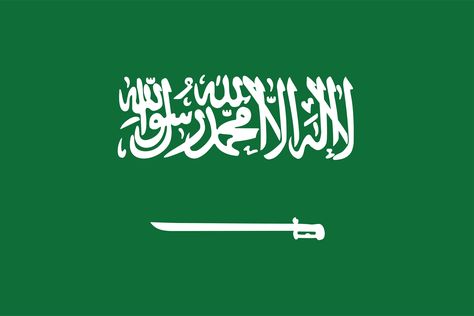 Negara Arab, Saudi Flag, Saudi Arabia Flag, Irish Beef, Geography Quiz, Saint Coran, Whatsapp Marketing, Science Tools, Flag Coloring Pages