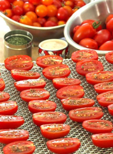 Dehydrating Grape and Cherry Tomatoes | A Life Well Planted Dehydrating Tomatoes, Dehydrating Food Storage, Cold Pasta Dishes, Tomato Snacks, Dehydrated Vegetables, Cold Pasta, Plastic Tray, Dehydrated Food, Dehydrator Recipes