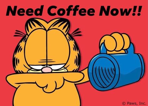 Garfield Coffee, Garfield Art, Garfield Quotes, Coffee Lover Quotes, Garfield Wallpaper, Coffee Jokes, Garfield Pictures, Sunday Morning Coffee, Garfield Images