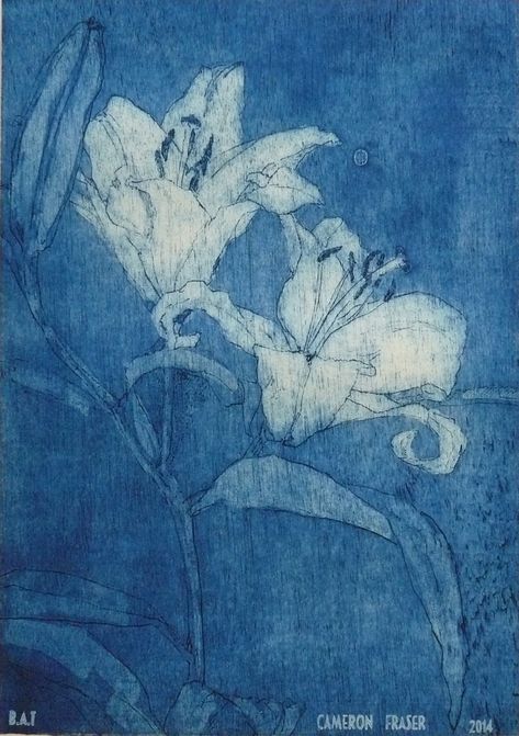 B-sides — Cameron Fraser Informal Iris   engraving   via... Blue And White, For Sale, Flowers, Blue, White