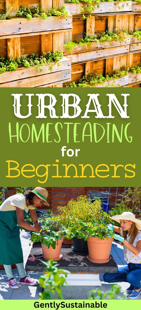 Living Self Sufficient, Homesteading In The Desert, Homesteading For Beginners In The City, Homestead In The City, Urban Homesteading Backyard Small Spaces, Homesteading In The City, Self Reliant Living, Urban Homesteading Ideas, Vegan Homesteading