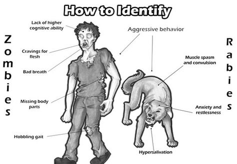 Zombie News, Portland State University, Thought Experiment, Health Administration, Infectious Diseases, Zombie Survival, Muscle Spasms, Nerd Alert, Zombie Apocalypse