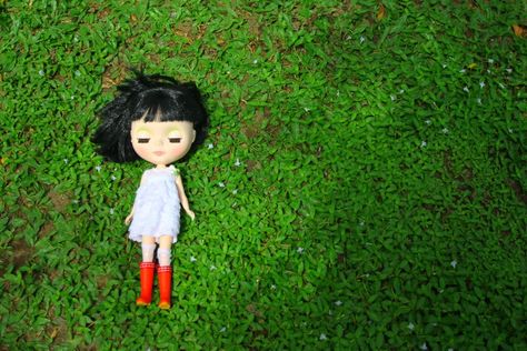 Blythe Doll Photography, Blythe Dolls Cute, Living Dolls, Sofia Coppola, Doll Parts, Pretty Dolls, Blythe Doll, Just Girly Things, Cute Dolls