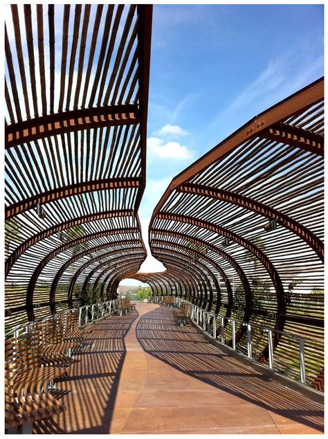 Elemento de sombra con bambú Architecture Cool, Walkway Landscaping, Covered Walkway, Bamboo Architecture, Pedestrian Walkway, Pedestrian Bridge, Bridge Design, Shade Structure, Street Furniture