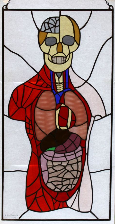 Anatomy Anatomical Heart Drawing, Glass Art Projects, Stained Glass Decor, Heart Drawing, Art Stained, Stained Glass Crafts, Stained Glass Designs, Faux Stained Glass, Stained Glass Panels