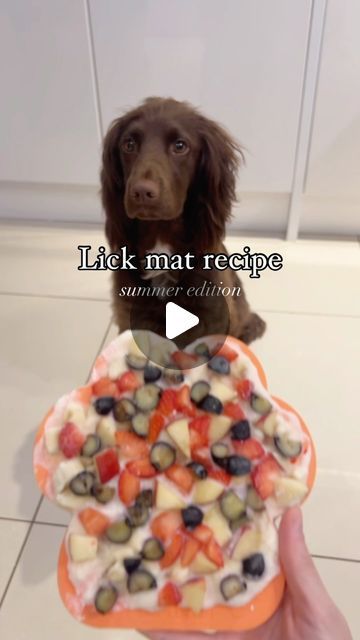 Dog Lick Mat Recipes, Boxer Puppy Training, Sprocker Spaniel, Kid Foods, Mat Ideas, Summer Hacks, Dog Enrichment, Boxer Puppy, Dog Hacks