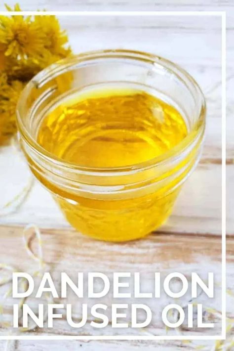 Did you know you can make your own dandelion oil? Learn how to make infused dandelion oil to use in your crafts and recipes. Honeysuckle Jelly, Ramp Pesto, Dandelion Oil, Lotion Bars Diy, Infused Oil, Herbal Recipes, Jelly Recipes, Wild Edibles, Essential Oil Diffuser Blends