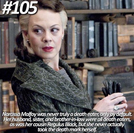 Draco Malfoy Mom, Narcissa Malfoy Wallpaper, Malfoys Mom, Narcissa Black, Narcissa Malfoy, Helen Mccrory, Malfoy Family, Harry Potter Memes Hilarious, Harry Potter Wizard