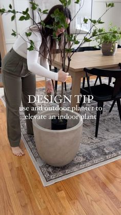 Happy Friday! Sharing one of my favorite ways to elevate a faux tree by using a large concrete planter 🤩 ✨comment shop for links This gorgeous planter from Lowe’s is in stock and comes in a couple colors! *Commission link* #homedecor #springhomes #diningroominspo #fauxplants Faux Concrete Planter, Large Concrete Planters, Concrete Planter, Faux Tree, The Pines, Concrete Planters, Outdoor Planters, Faux Plants, So Happy