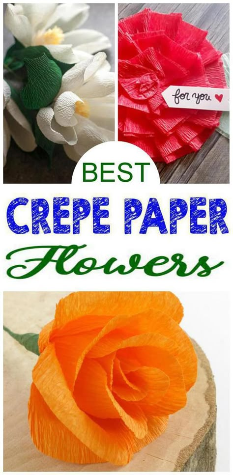 Streamer Flowers, Paper Flower Backdrop Wedding, Crepe Paper Crafts, Crepe Paper Flowers Diy, Crepe Paper Roses, Paper Flowers Diy Easy, Fleurs Diy, Easy Paper Flowers, How To Make Paper Flowers