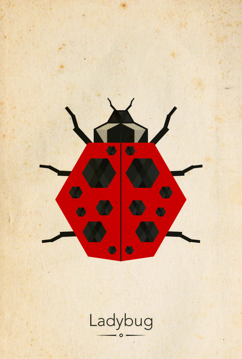 #design #poster #illustration #geometric #animals #insect #ladybug #bugs Insect Graphic Design, Geometric Ladybug, Ladybug Insect Illustration, Bugs Illustration, Ladybug Illustration, Insects Illustration, Insect Poster, Insect Illustration, Bug Design