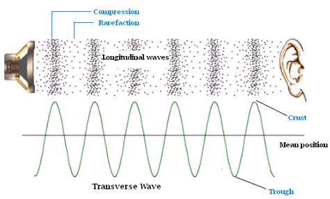 Longitudinal vs transverse waves. Longitudinal (sound) waves move parallel to direction of propagation. Transverse (light) move perpendicular and thus can be polarized. Sacred Geometry Architecture, Teaching Sound, Sound Physics, Physics Topics, Mechanical Wave, Longitudinal Wave, Sound Reflection, Schumann Resonance, Physics Lessons