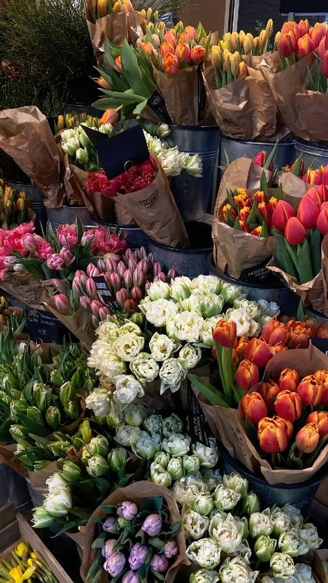 Flower Shops Aesthetics, Aesthetic Flowershop, Flowershop Aesthetic, Flower Shop Aesthetic, Flower Truck, Boquette Flowers, Nothing But Flowers, Wallpaper Laptop, Flowers Aesthetic