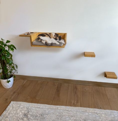 ➜This multifunctional cat bed and food rack is designed to ensure your pet's comfort and convenience. Thanks to the wooden wall shelves, your cats can sleep comfortably high up and feed easily from the food shelf compartments. ➜Available in brown, beige and gray for the cushion and walnut, oak and pine for the wood. Includes removable and washable cushions. An ideal choice for those who care about your pet's health and comfort. Floating Cat Shelves, Food Shelf, Wooden Wall Shelf, Shelf Hardware, Shelf Floating, Wooden Wall Shelves, Cat Shelves, Wood Cat, Unique Houses