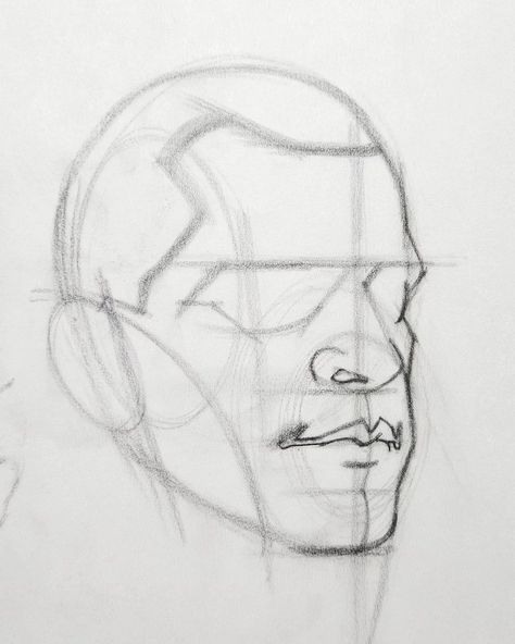 Dynamic Reference, Artist List, Body Gestures, Face Proportions, Head Anatomy, Drawing Heads, Learn Drawing, Drawing Exercises, Figure Study